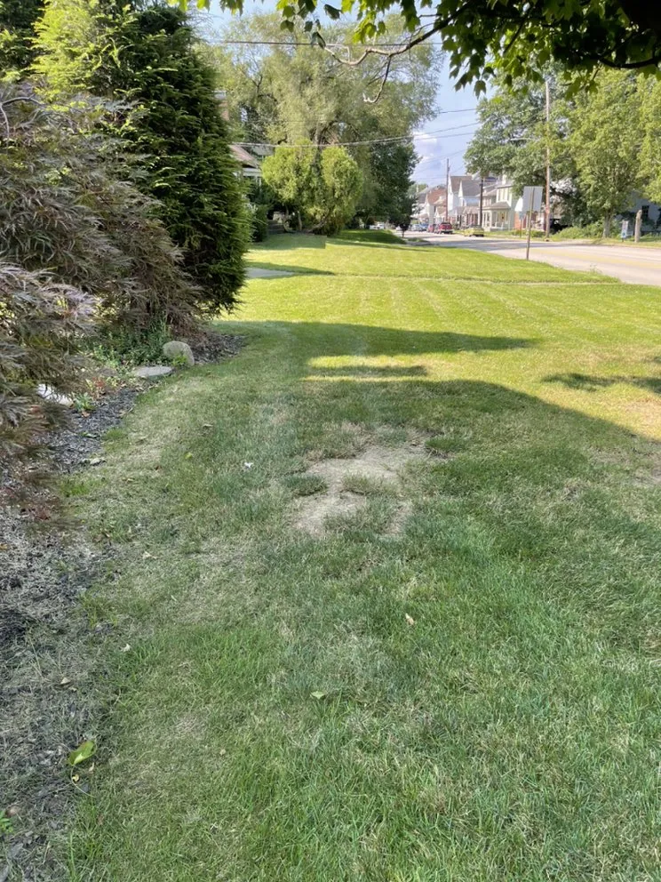 Top-rated landscape design for year-round maintenance in Washington, PA by Dre's Whatever You Need Services