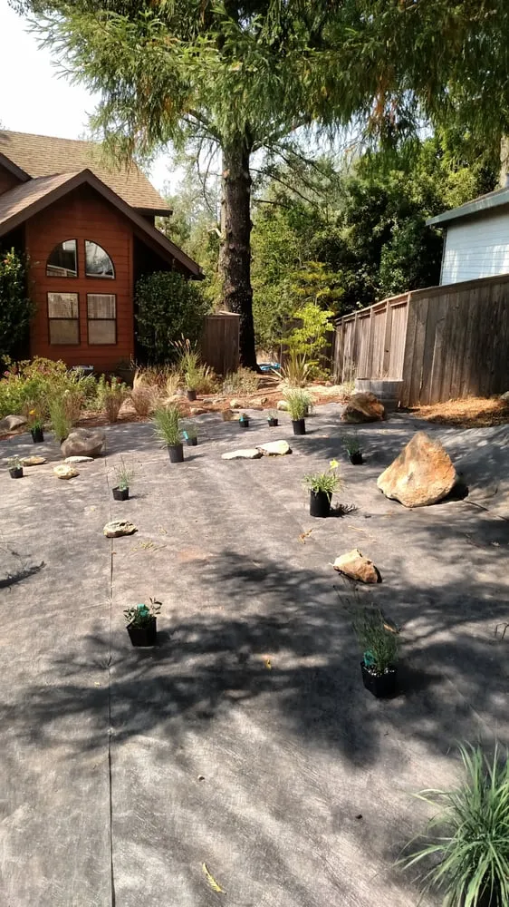 Top-rated lawn care service in Santa Rosa, CA - Drew Coomes Landscaping & Maintenance