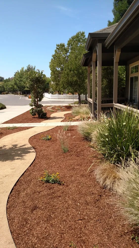Professional landscape design for year-round maintenance in Santa Rosa, CA by Drew Coomes Landscaping & Maintenance