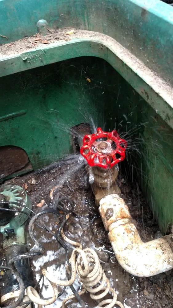 Trusted lawn mowing service in Santa Rosa, CA - Drew Coomes Landscaping & Maintenance