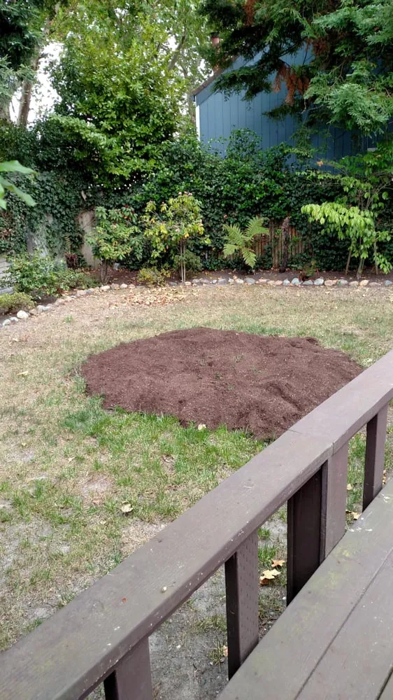 Local landscaping services for beautiful yards across Santa Rosa, CA - Drew Coomes Landscaping & Maintenance