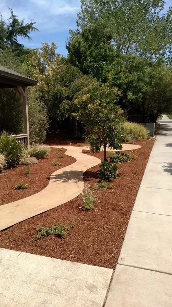 Professional outdoor landscaping in Santa Rosa, CA - Drew Coomes Landscaping & Maintenance
