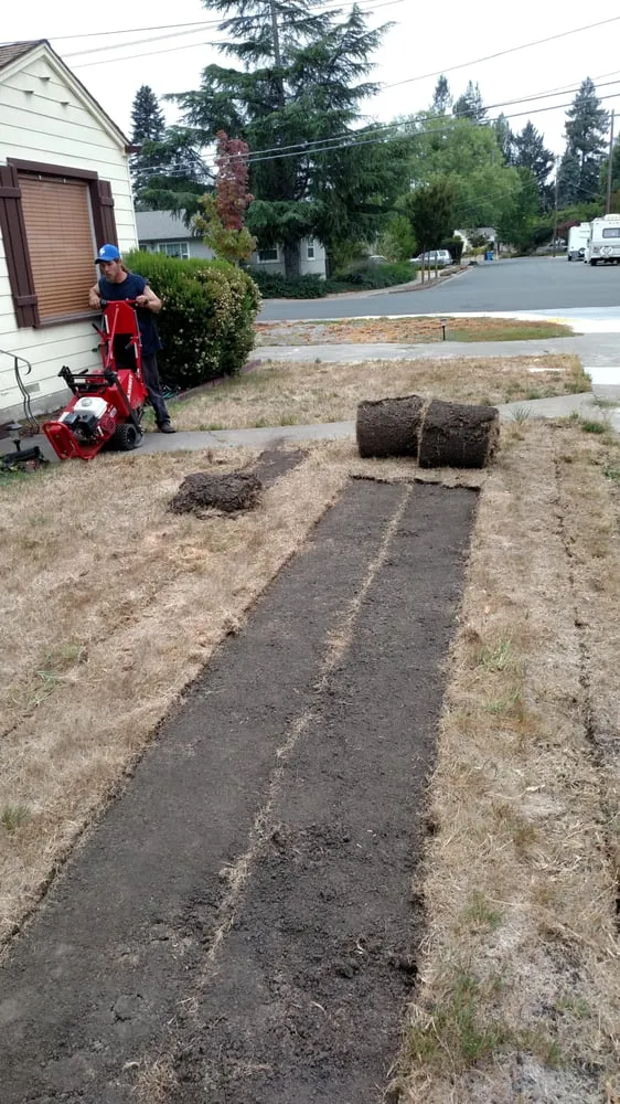 Trusted landscaping services experts serving Santa Rosa, CA - Drew Coomes Landscaping & Maintenance