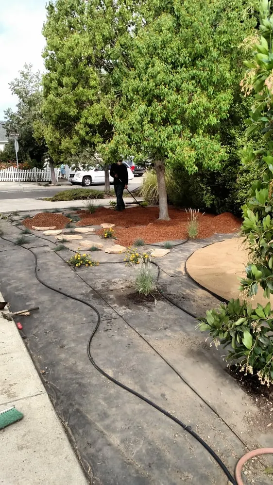 Trusted lawn mowing service in Santa Rosa, CA by Drew Coomes Landscaping & Maintenance