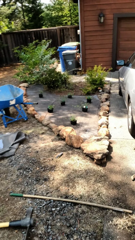 Reliable yard maintenance in Santa Rosa, CA - Drew Coomes Landscaping & Maintenance