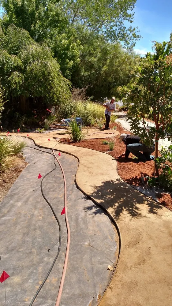 Local lawn mowing service near you in Santa Rosa, CA by Drew Coomes Landscaping & Maintenance