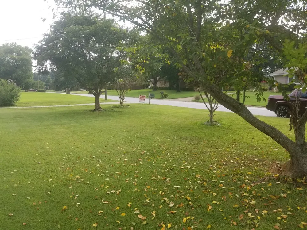 Affordable landscape design in Covington, GA - Drew Lawn Care Service