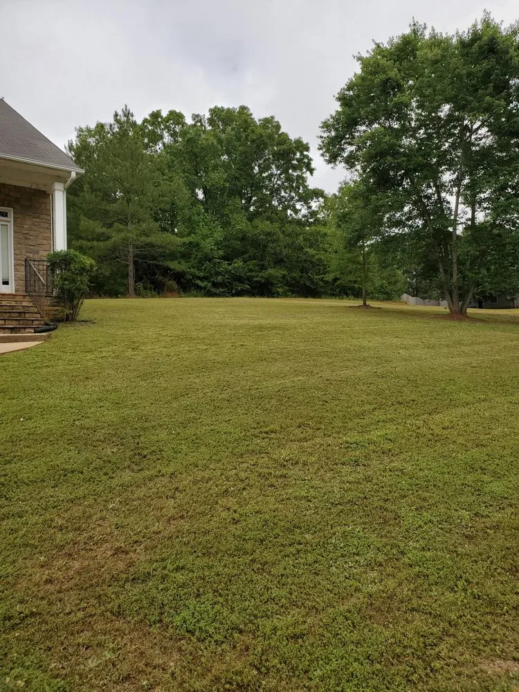 Expert landscape installation in Covington, GA - Drew Lawn Care Service