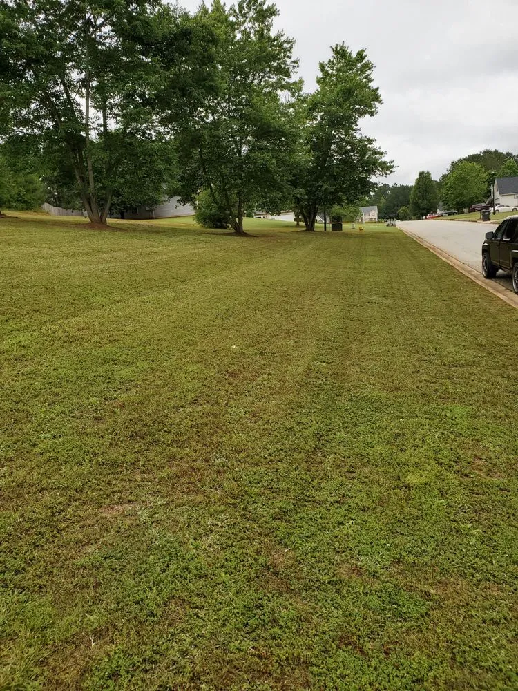 Professional landscape design in Covington, GA by Drew Lawn Care Service