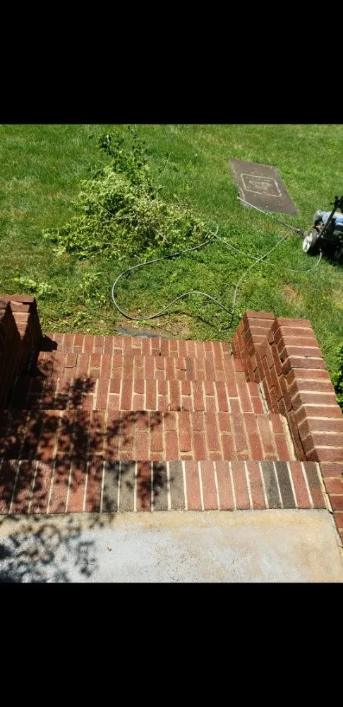 Expert yard cleanup service for beautiful yards across Farmville, VA - Drew Osborn