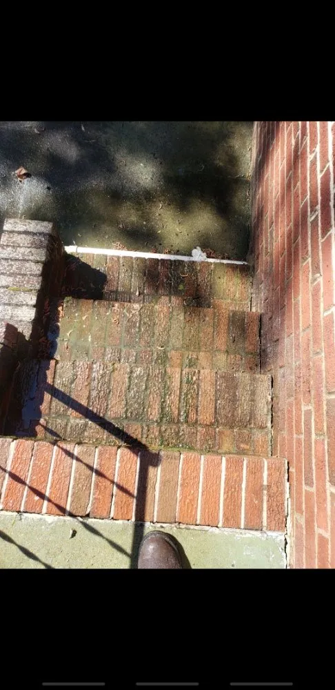 Local lawn care service experts serving Farmville, VA - Drew Osborn