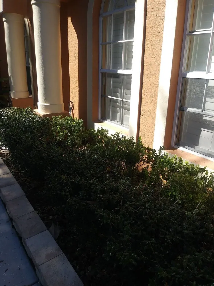 Reliable yard cleanup service for residential properties in Belle Isle, FL by Dreway Lawn Services