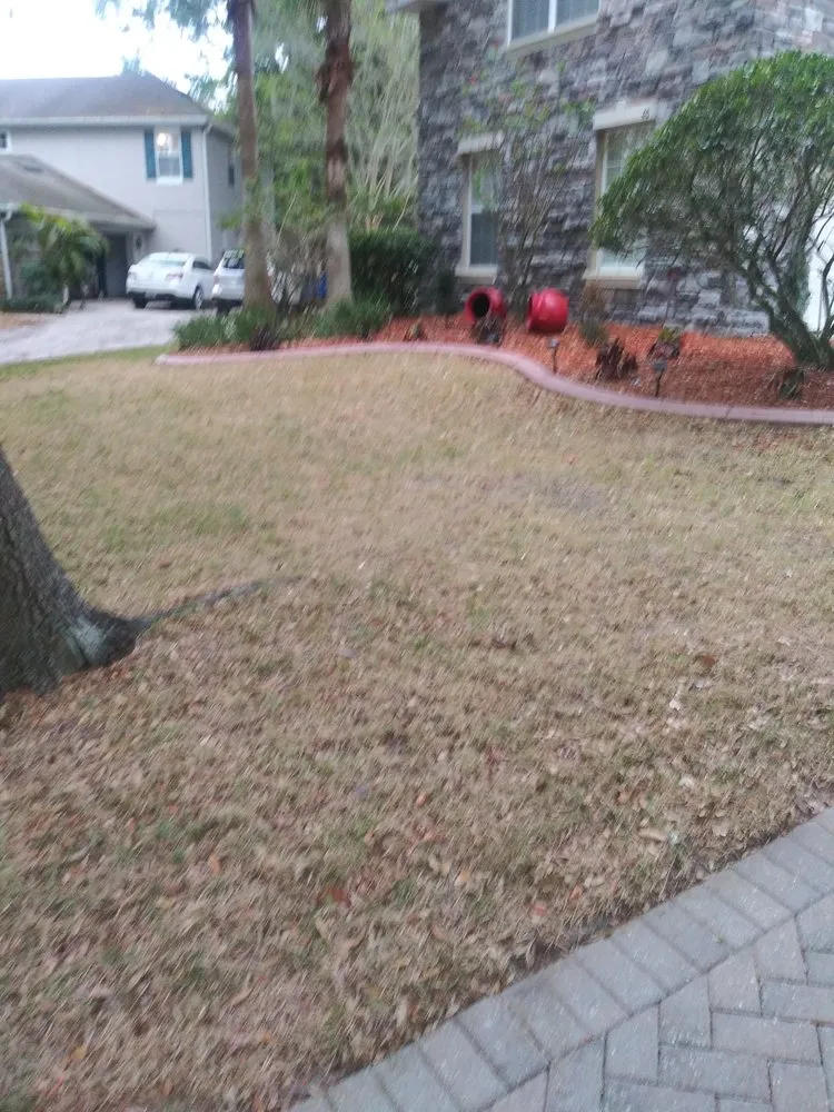 Top-rated yard maintenance in Belle Isle, FL by Dreway Lawn Services