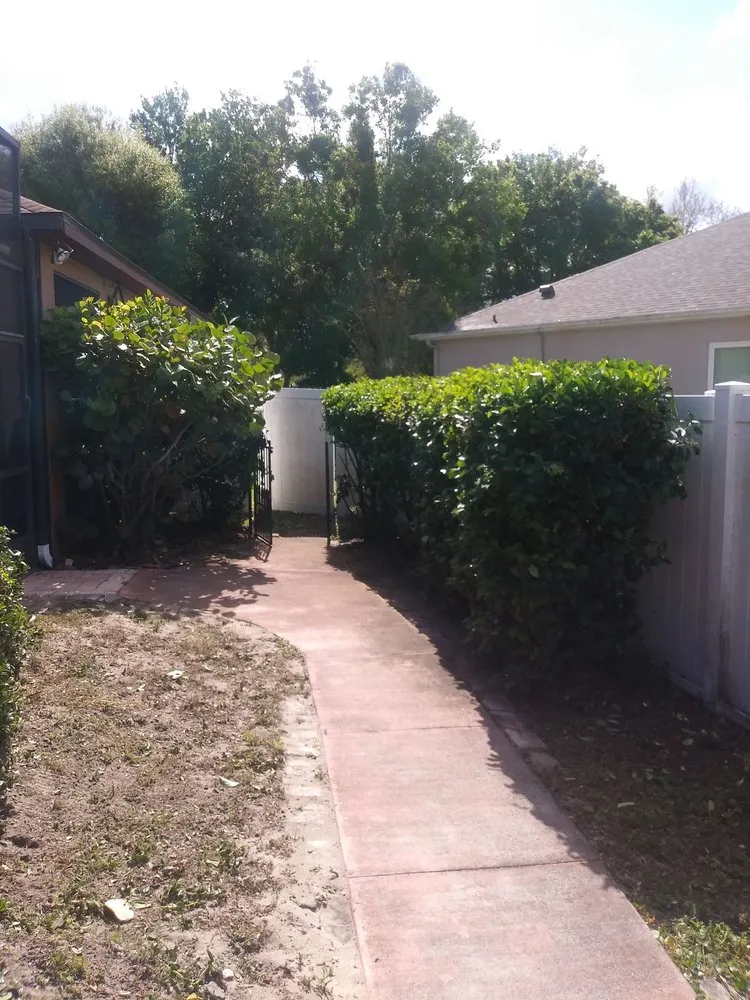 Top-rated yard maintenance with custom design in Belle Isle, FL by Dreway Lawn Services