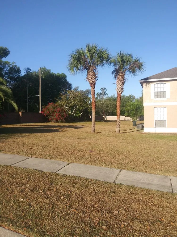 Top-rated landscaping services near you in Belle Isle, FL by Dreway Lawn Services