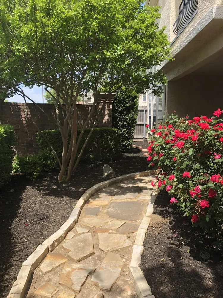 Expert lawn care service for residential properties across Houston, TX - DrewGreen Lawn & Landscape