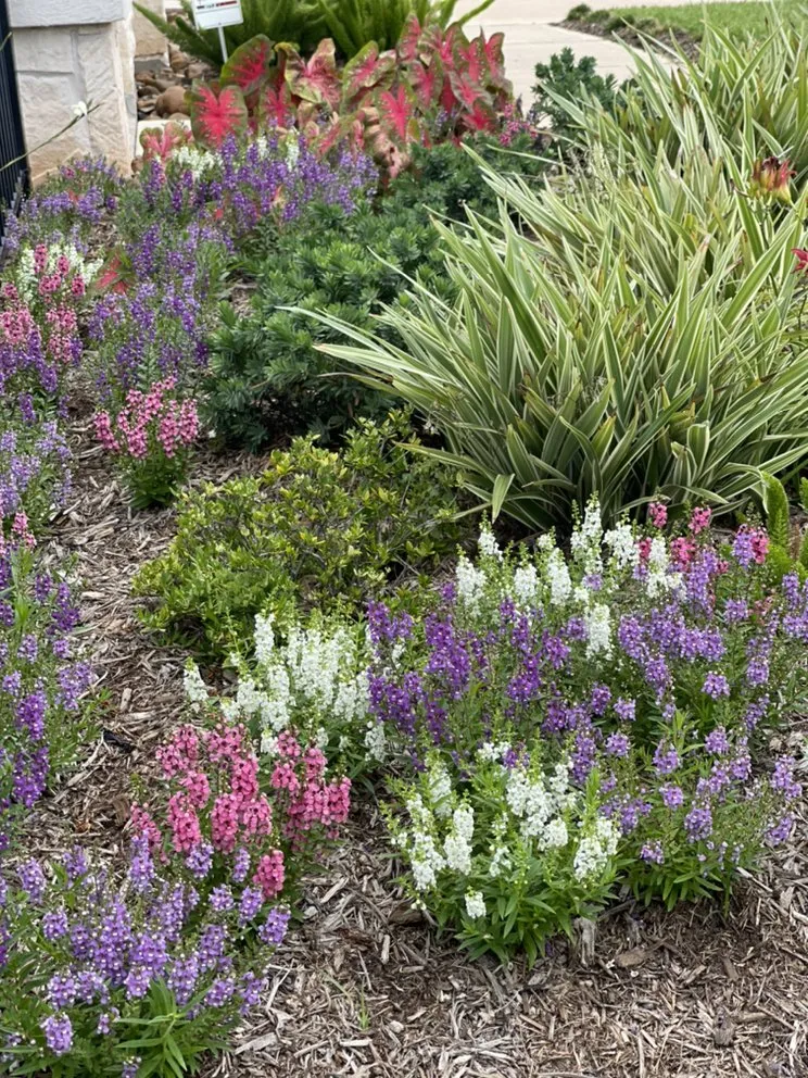 Custom yard cleanup service experts serving Houston, TX - DrewGreen Lawn & Landscape