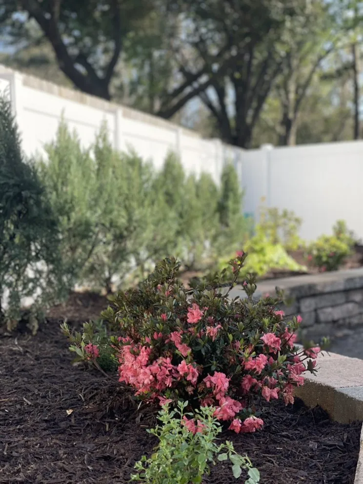 Local garden landscaping in Houston, TX by DrewGreen Lawn & Landscape