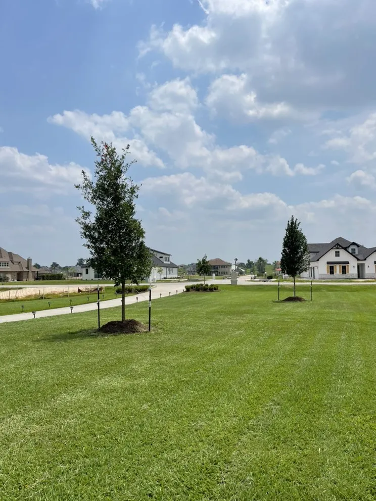 Local lawn care service in Houston, TX by DrewGreen Lawn & Landscape