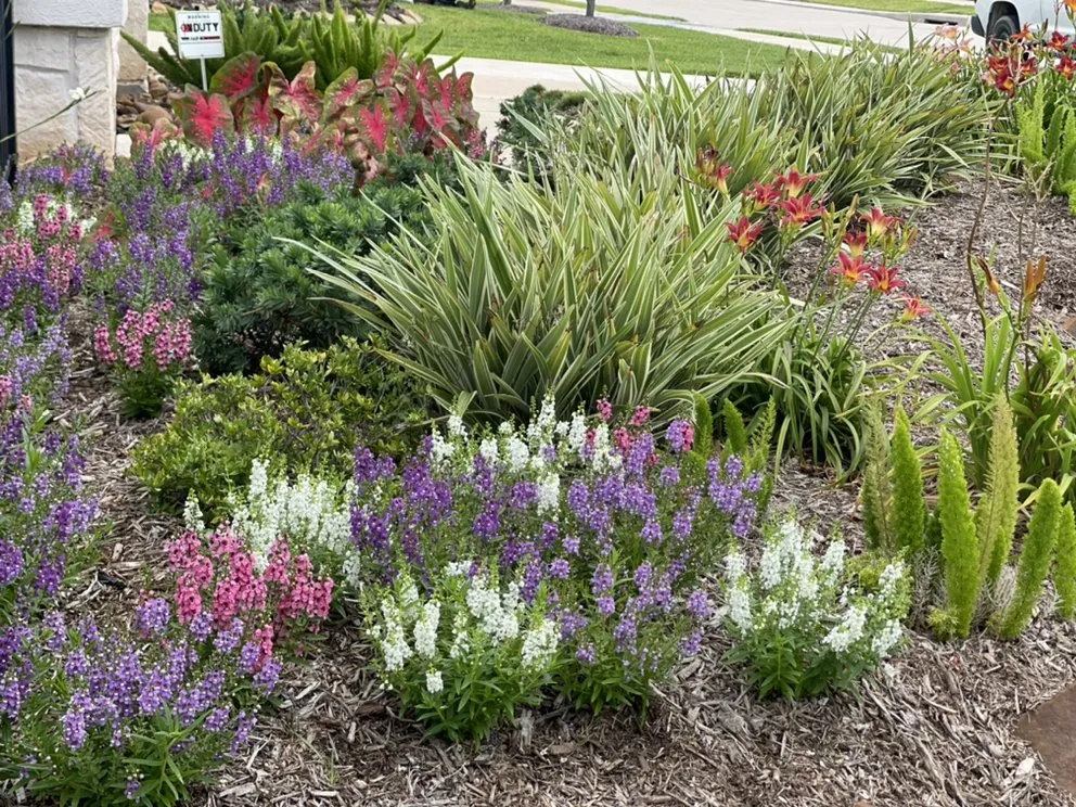 Expert outdoor landscaping for outdoor upgrades in Houston, TX by DrewGreen Lawn & Landscape