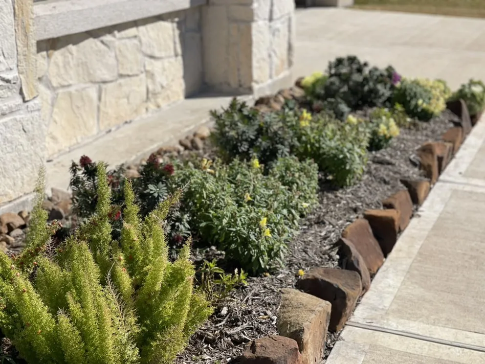 Reliable landscaping services experts serving Houston, TX - DrewGreen Lawn & Landscape
