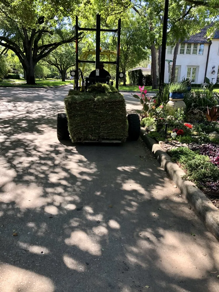 Top-rated lawn care service for residential properties across Waller, TX - DrewGreen Lawn & Landscape