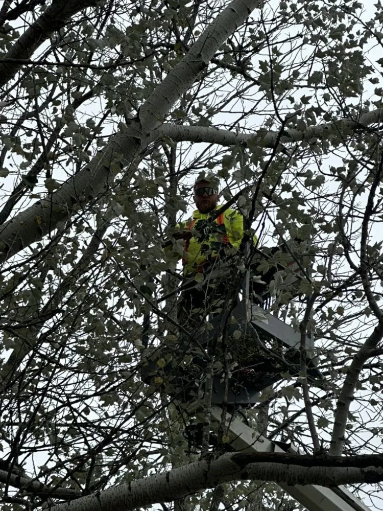 Affordable residential landscaping experts serving Suamico, WI - Drewieske Services