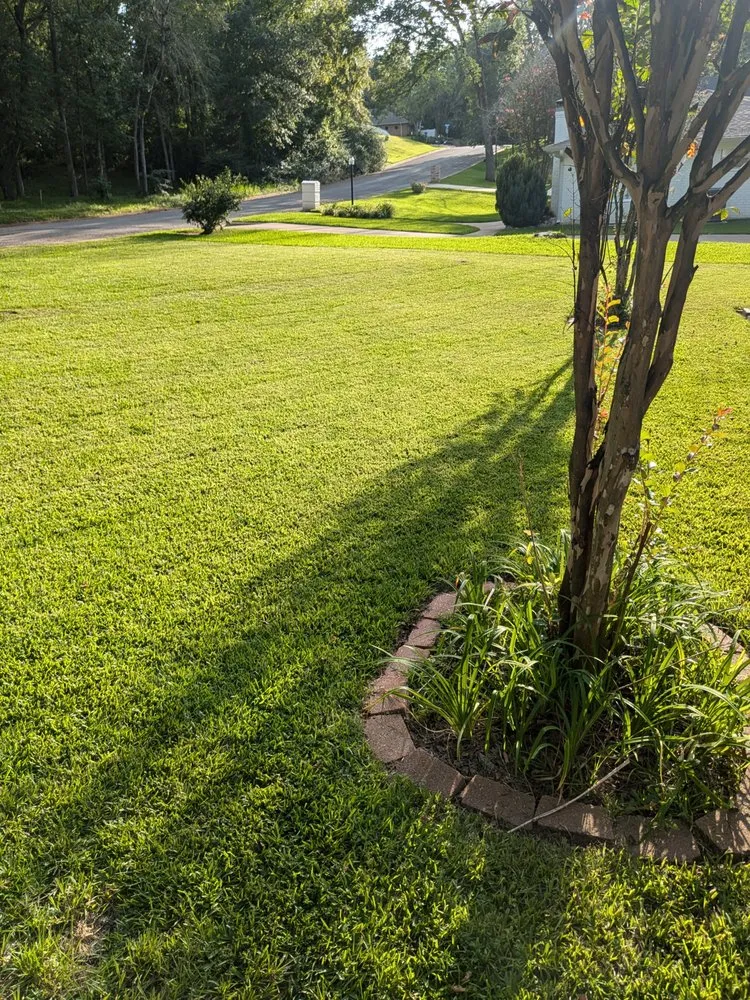 Local landscape installation in Jacksonville, TX - Drew's Clean & Green