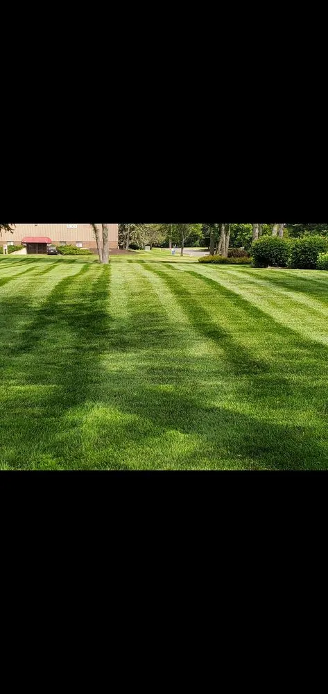 Reliable yard cleanup service in Fruitport Charter Township, MI - Drew's Customs Cutz & Landscaping