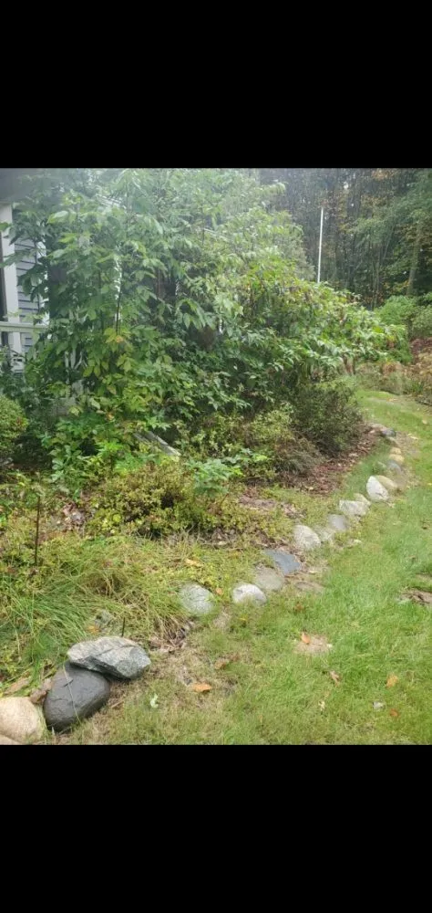 Top-rated landscape design in Fruitport Charter Township, MI - Drew's Customs Cutz & Landscaping