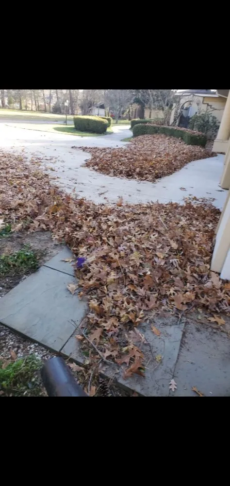 Top-rated yard maintenance near you in Fruitport Charter Township, MI by Drew's Customs Cutz & Landscaping