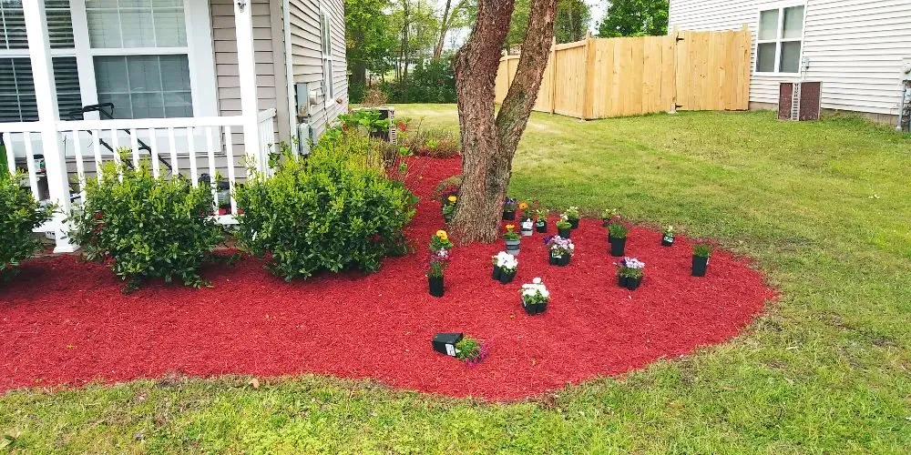 Trusted yard cleanup service in Marydel, DE - Drew's Cutting Crew
