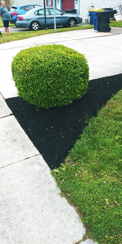 Custom outdoor landscaping in Marydel, DE - Drew's Cutting Crew
