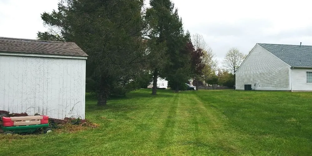 Local lawn mowing service experts serving Marydel, DE - Drew's Cutting Crew
