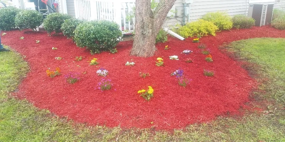 Reliable lawn care service experts serving Marydel, DE - Drew's Cutting Crew