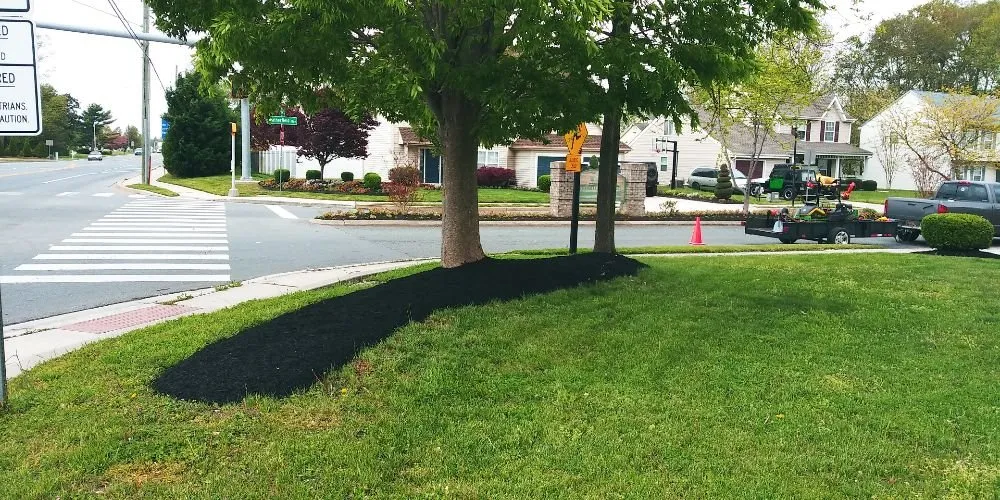Affordable lawn mowing service in Marydel, DE - Drew's Cutting Crew