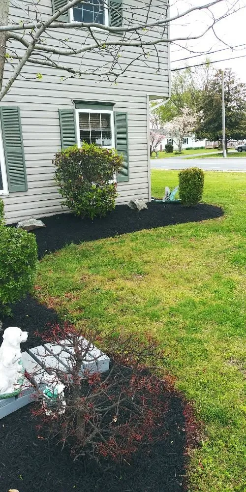 Professional outdoor landscaping in Marydel, DE by Drew's Cutting Crew