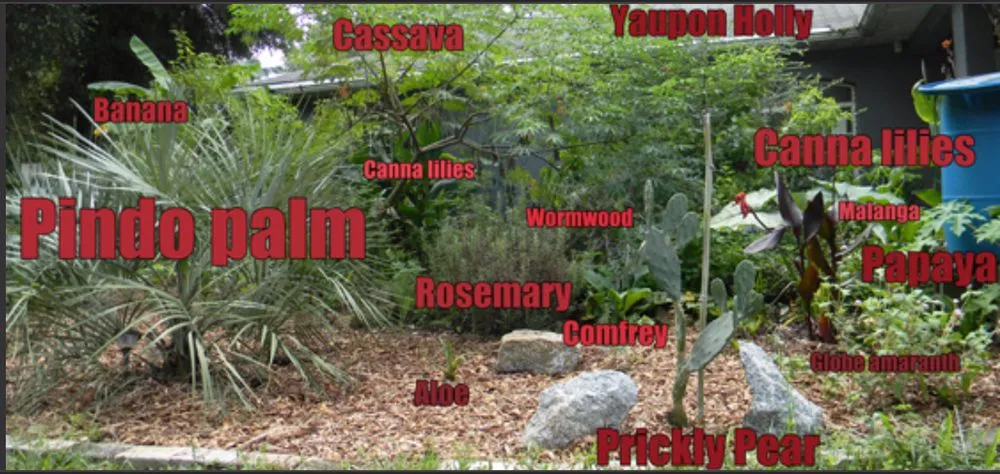 Professional garden landscaping near you across Carrsville, VA - Drew’s Food Forest & Edible Landscaping