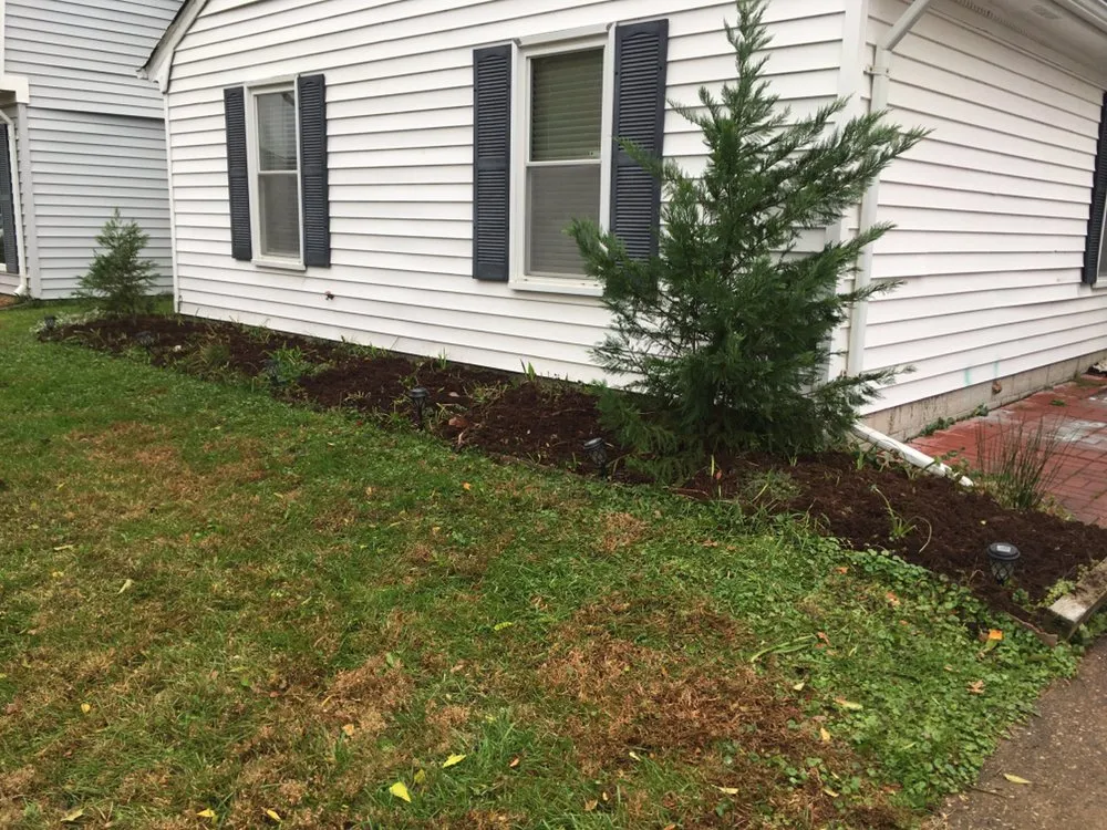 Trusted yard cleanup service near you across Carrsville, VA - Drew’s Food Forest & Edible Landscaping