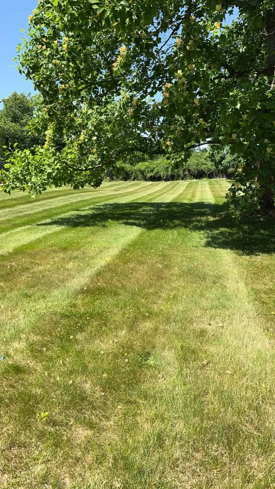 Expert landscape installation in Somerset, MA by Drew’s Landscaping