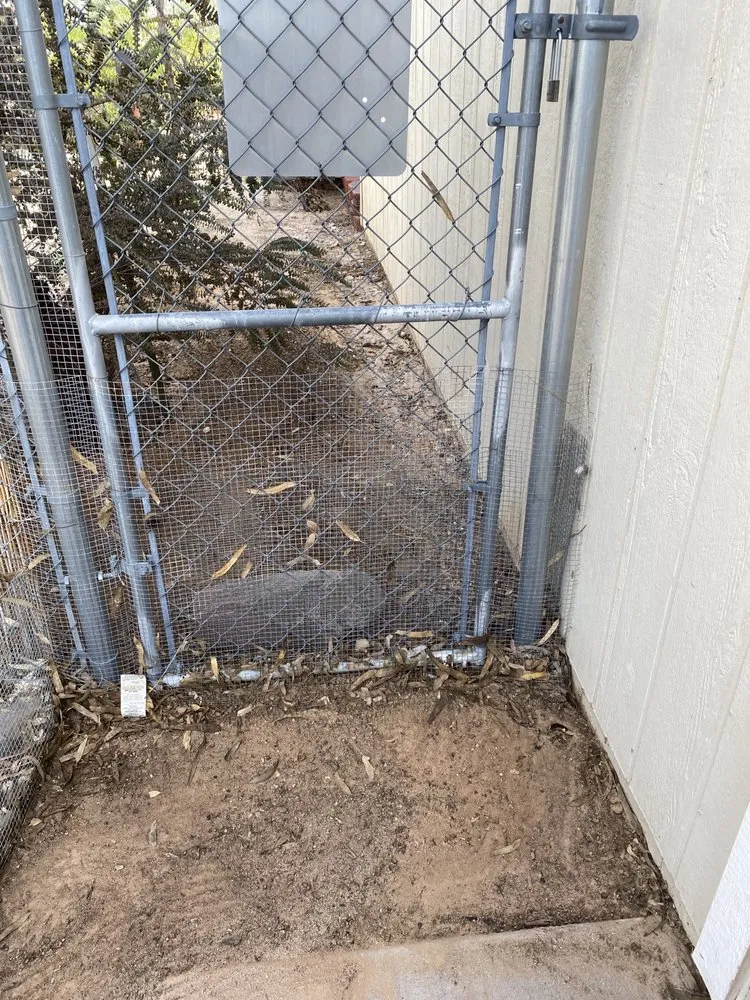 Expert landscape installation in Wickenburg, AZ by Drew’s Landscaping