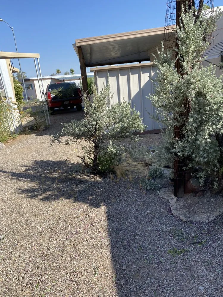 Top-rated landscape installation for year-round maintenance in Wickenburg, AZ by Drew’s Landscaping