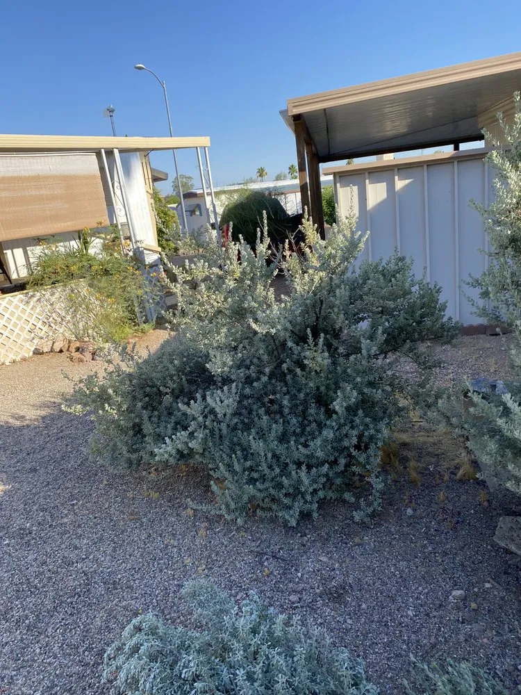 Top-rated lawn mowing service for homes across Wickenburg, AZ - Drew’s Landscaping