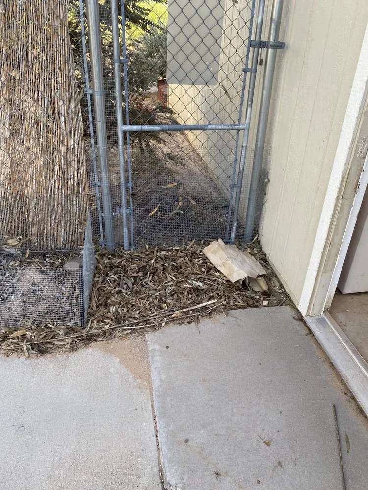 Trusted outdoor landscaping experts serving Wickenburg, AZ - Drew’s Landscaping