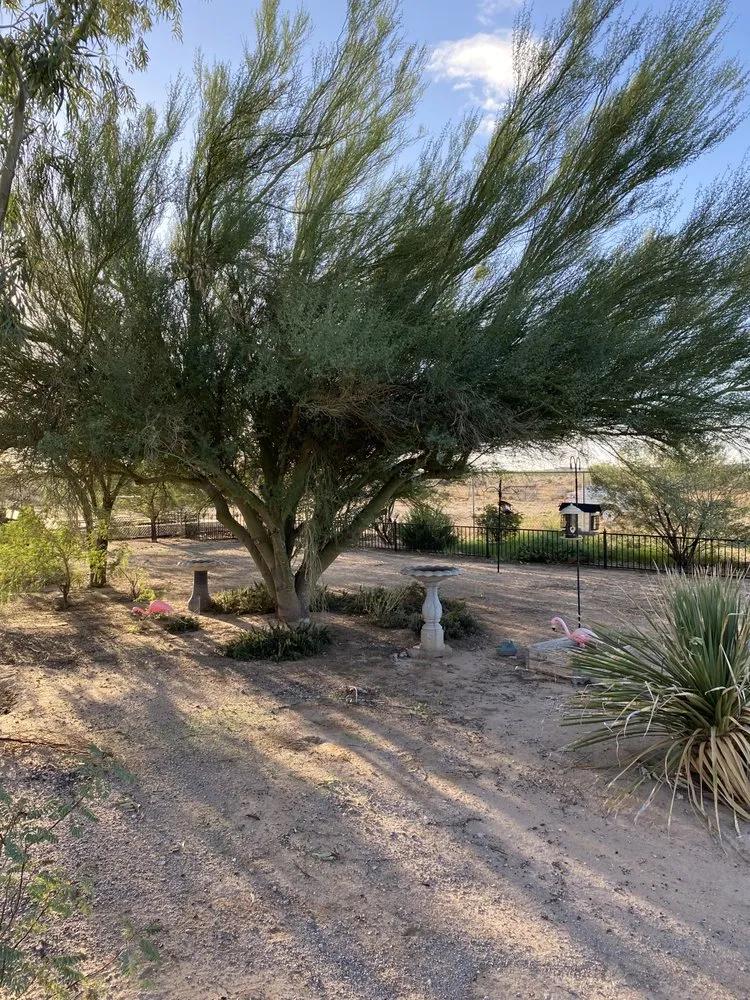 Local landscape installation in Wickenburg, AZ - Drew’s Landscaping