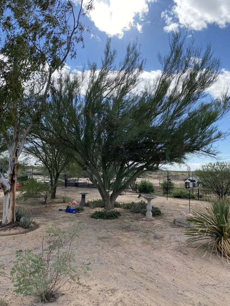 Affordable lawn mowing service for residential properties across Wickenburg, AZ - Drew’s Landscaping