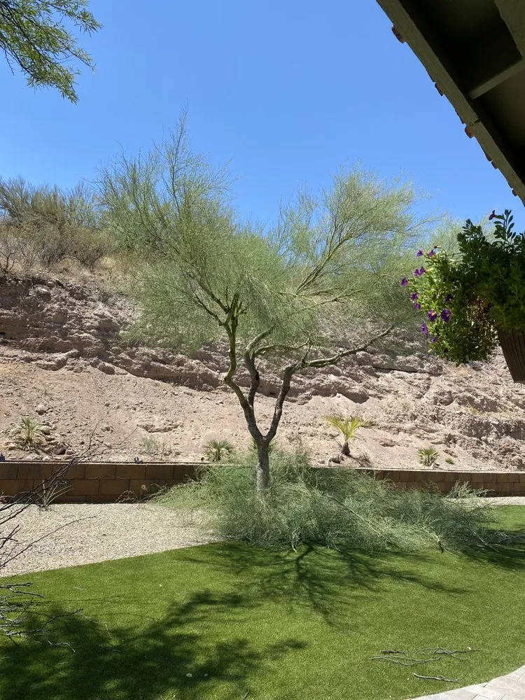 Trusted yard cleanup service experts serving Wickenburg, AZ - Drew’s Landscaping