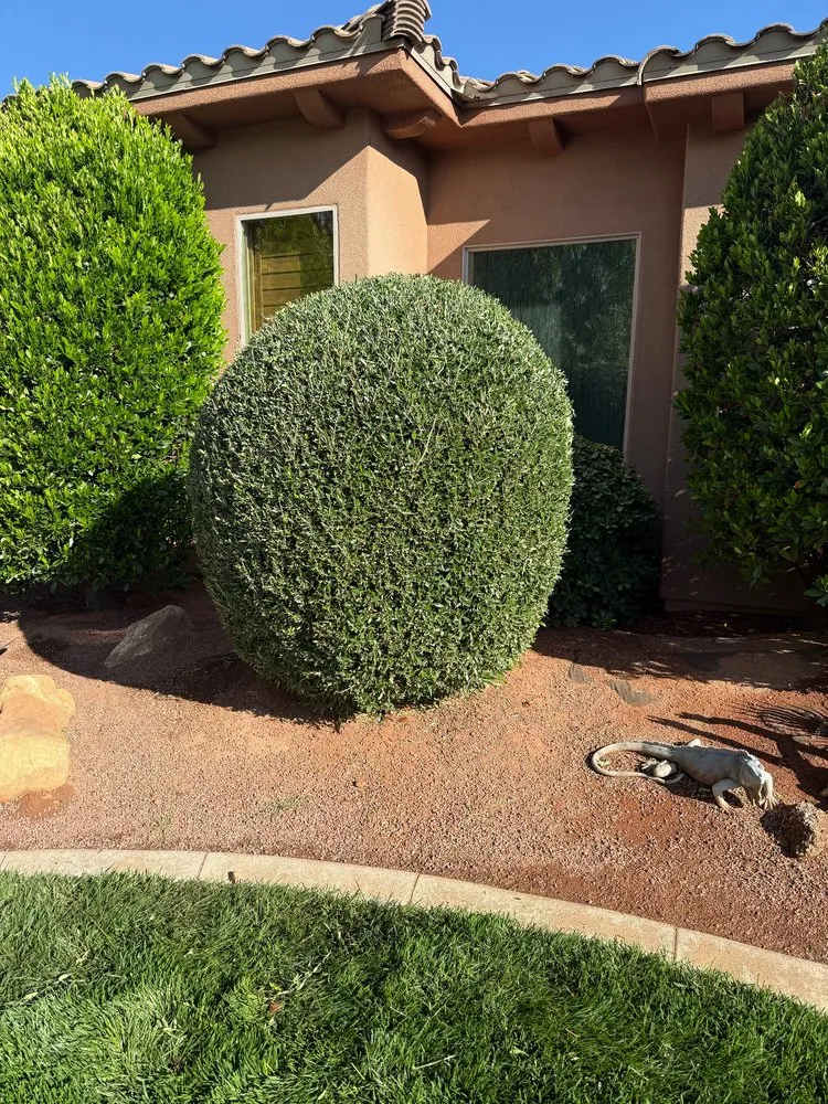 Custom outdoor landscaping in St. George, UT by Drew's Lawn Care & Landscaping