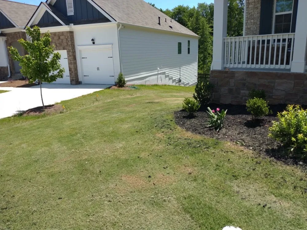 Top-rated yard cleanup service experts serving Carrollton, GA - Drew's Lawn Care