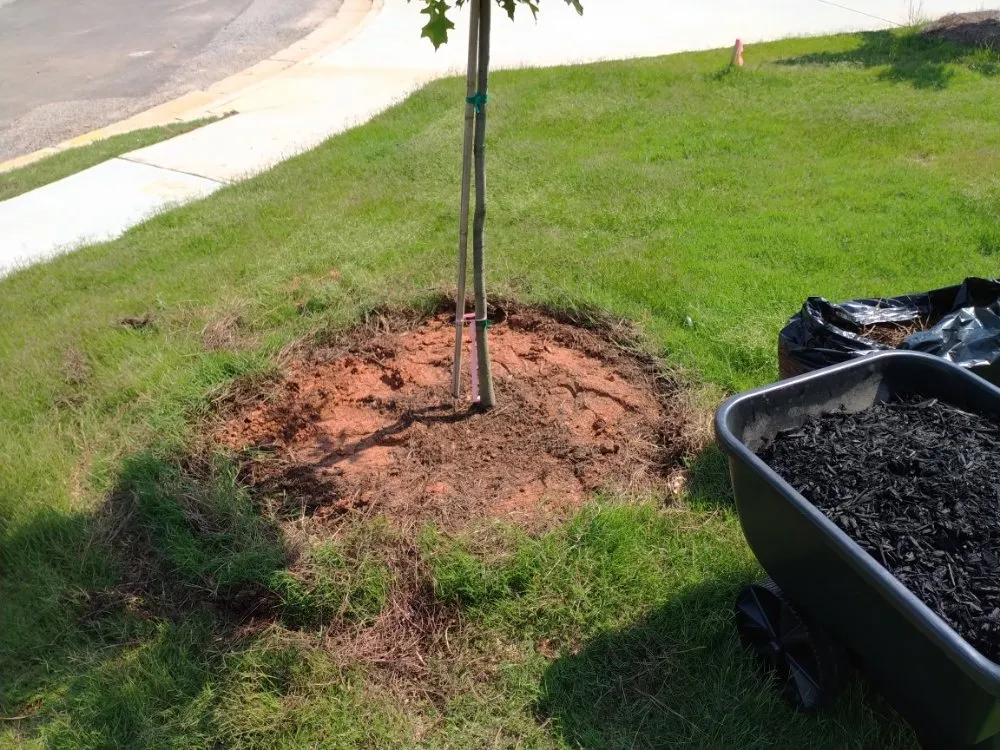 Reliable lawn mowing service for residential properties in Carrollton, GA by Drew's Lawn Care